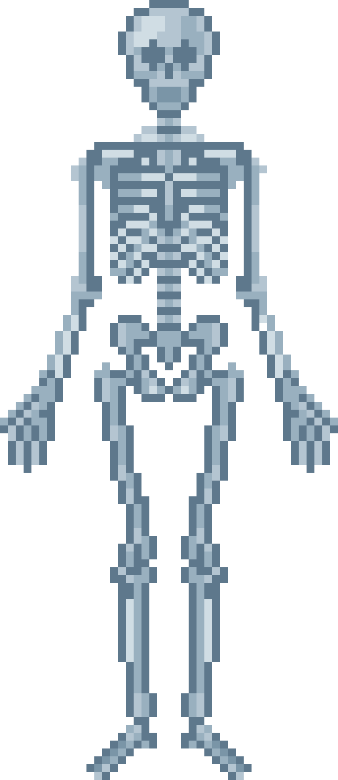 Skeleton